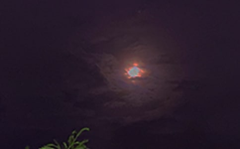 2021��ʵ�õ�������¼����Ȧ43��