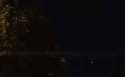 �����ഺ��־������¼����Ȧ290��