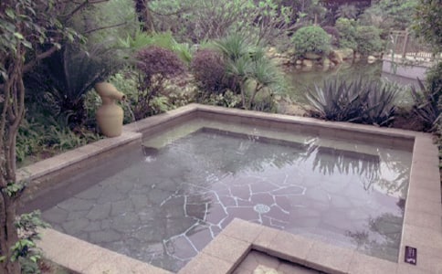 ��Ȫ��߻��鷶��