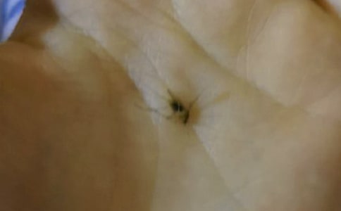 �������꼶����300�ֺϼ�7ƪ