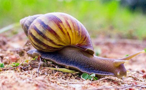 ���Ƽ������꼶��ţ���ĺϼ���ƪ