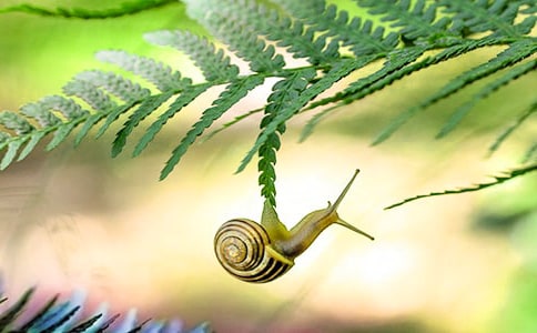 ��ţ������ͯ������