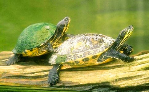 �ڹ�۲��ռ�