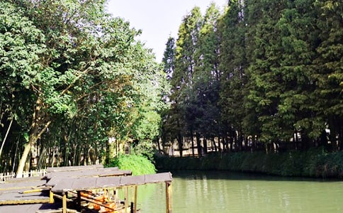 ����������Сѧ����