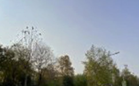 经典个性午安语录(通用50句)