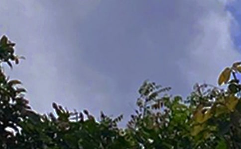 Ψ���簲��¼���ܣ�ͨ��80�䣩