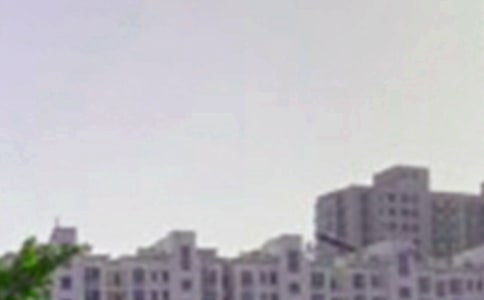 ��־�簲ǩ��80��