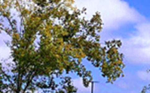 ������ܰ�簲�����ѡ40�䣩