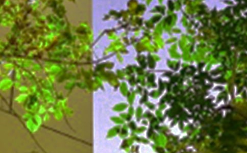 ����ů���簲����50�侫ѡ