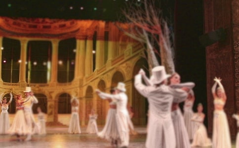 �����赸�ӹ����ƻ�