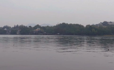 四年级西湖作文汇总6篇