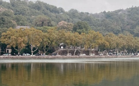 �����������꼶�������Ļ��9ƪ