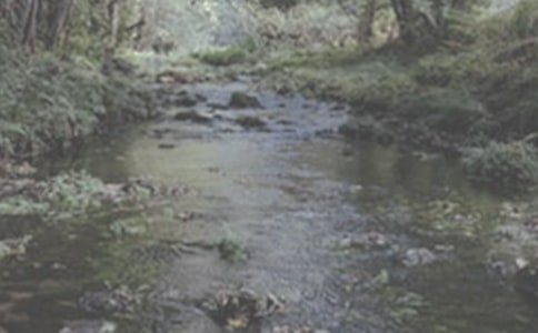 СϪ�����Ÿĳɱ�����