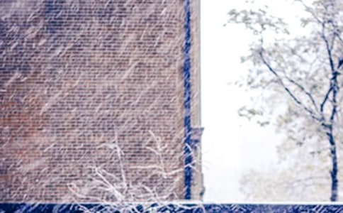 ������ѩ���˸��ִ�ʫ