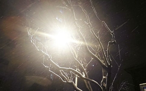 三年级下雪的优秀日记(精选13篇)