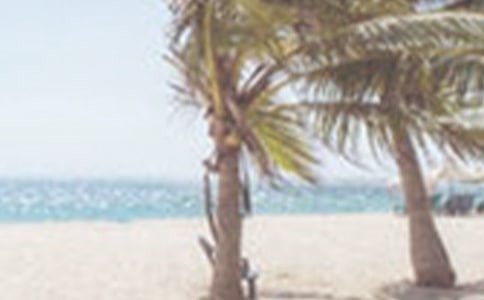 2017�ļ����������ף����