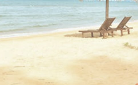 �����ļ����������������Ʒ11ƪ��