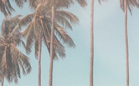 描绘夏季的诗句