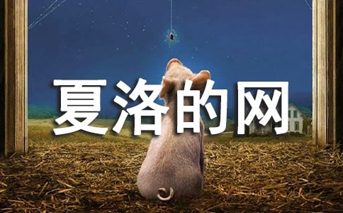 夏洛的网读后感(热)