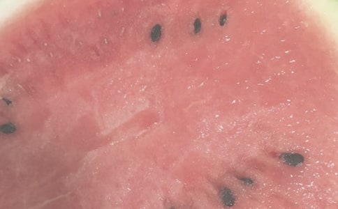 ����ѩȤ����д������