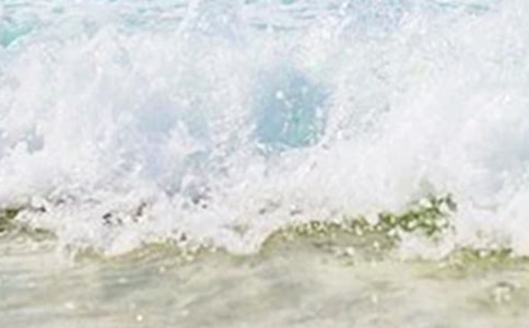 ��д�����ʫ��