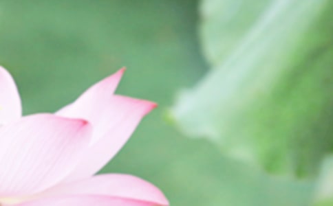 ��������������ʫ�䣨ͨ��90�䣩