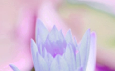 �����ϣ����������İ�