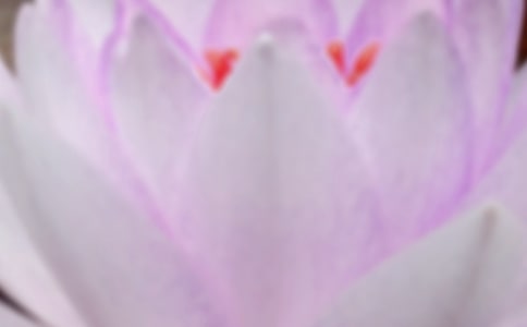 д�����羰�Ĺ�ʫ��