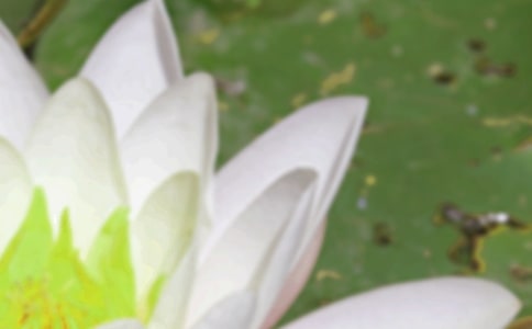 ������δ����Ψ������¼