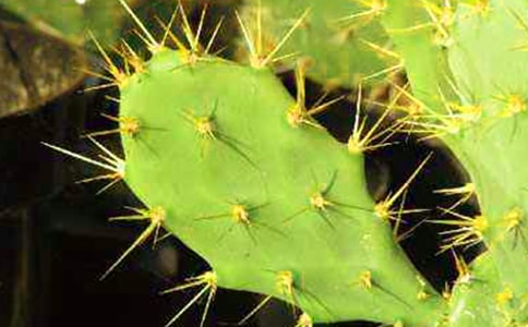 �Ұ�������������