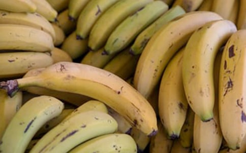 �㽶���꼶����300�ּ���5ƪ