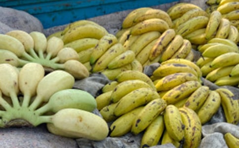 ʵ�õ����꼶�㽶����10ƪ