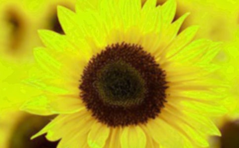 �������տ��ľ���