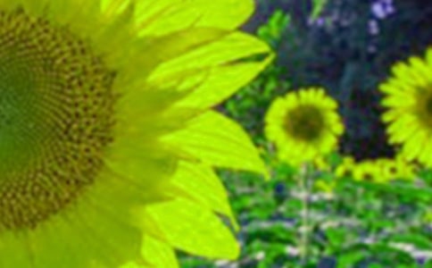 ���տ���250�����ģ�ͨ��58ƪ��