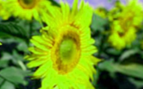 Ц����ͬ���տ���ɢ�����