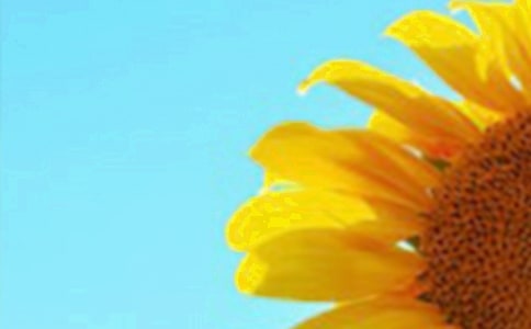 ��ѡ���տ����꼶���Ľ���6ƪ