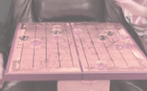 象棋大乱斗五年级作文