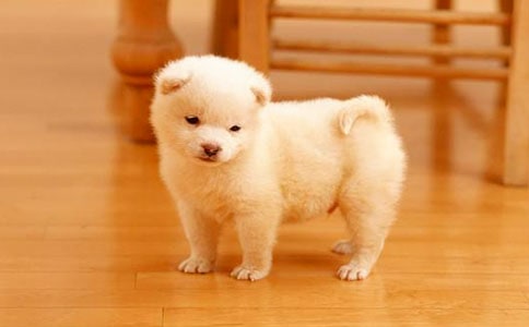 �۲��ռ�С��