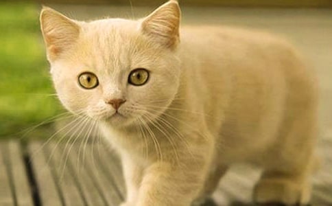 Сè���ռ�ͨ��