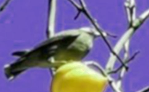 ʯͷ��С���Ԣ�Թ���