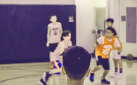 小学生周记350字