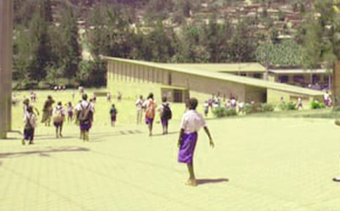 ������Сѧ��������