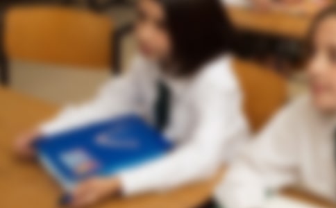 小学生周记模板汇编五篇