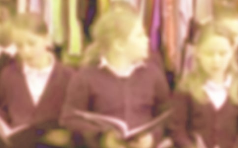 ����Ʒ�����꼶Сѧ������300�ֺϼ�10ƪ