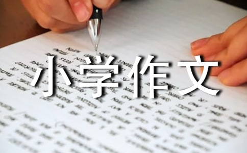 老妈来自抽象派小学作文