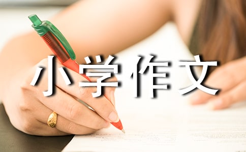 【推荐】我的六年级小学作文300字集合六篇