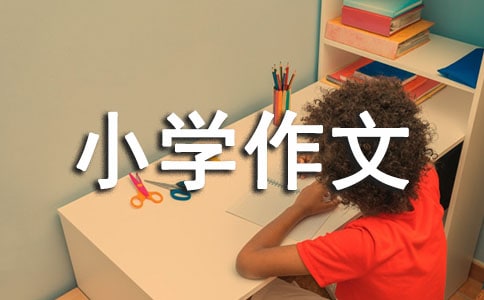 地雷花小学作文(通用17篇)