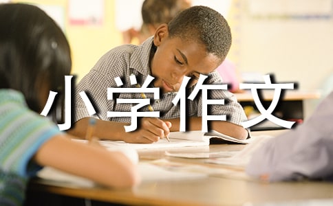 我熟悉的一个人小学作文