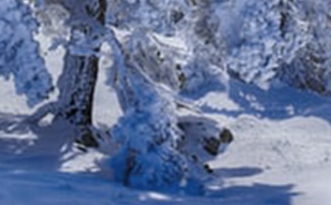 �й���дСѩ�����Ĺ�ʫ����ѡ50�ף�