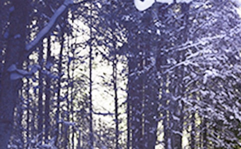 Сѩ����ʫ��